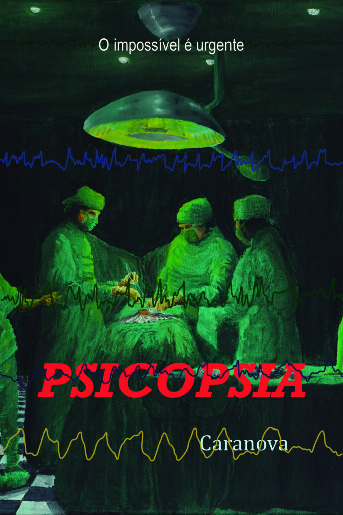 Psicopsia é a saga de um grupo de residentes de Cirurgia Geral durante os dois anos de sua formação num grande hospital público de alto fluxo em São Paulo no início dos anos noventa. A história é contada do ponto de vista de vários narradores oferecendo diferentes perspectivas psicológicas às inúmeras situações dramáticas, apesar de cotidianas. 